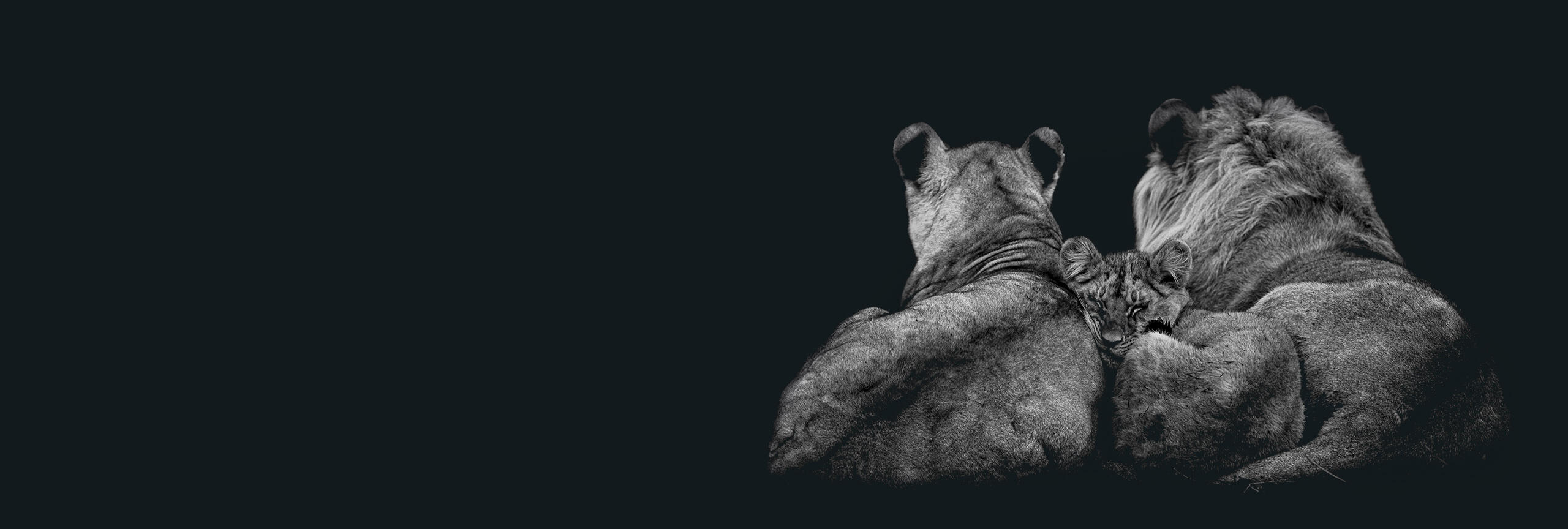 WERKEN BIJ <em>FLEAX</em>