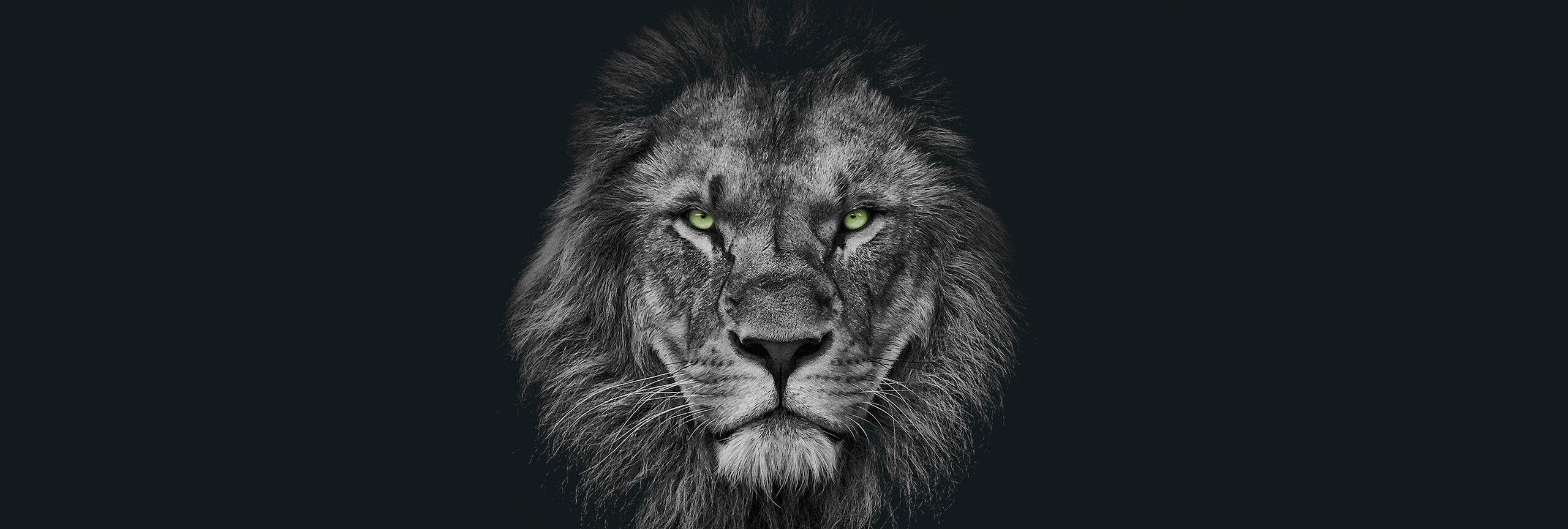 Timmerman <em>vacatures</em>